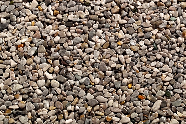Grigio Occhialino 